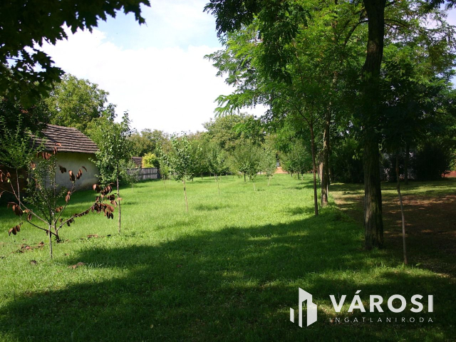 Ha vállalkozást szeretne elindítani,