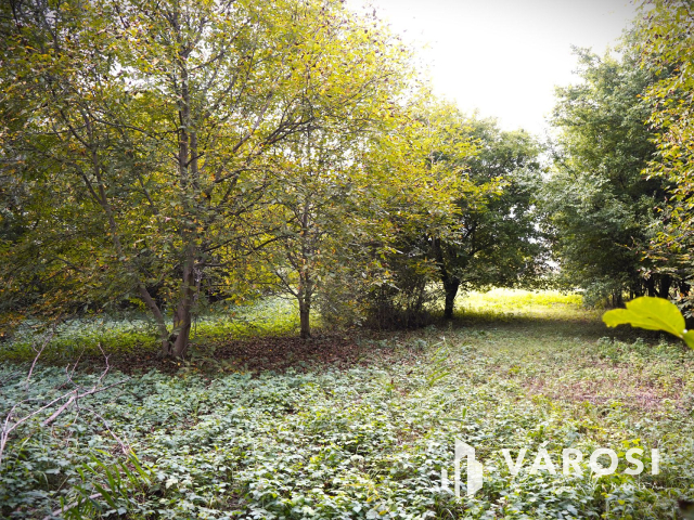 Révfalu - Vizivárosban telek eladó!