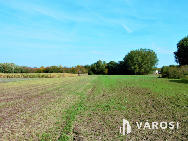 3 építési telekre felosztható 5282 m2-es terület Rábapatonán