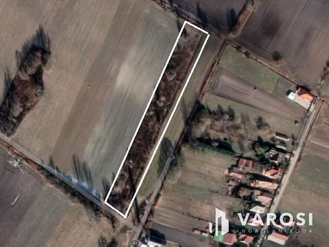 Turán 6060nm-es külterületi telek