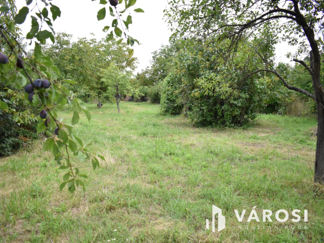 4229 m2-es összközműves építési telek fürdő ővezetben!