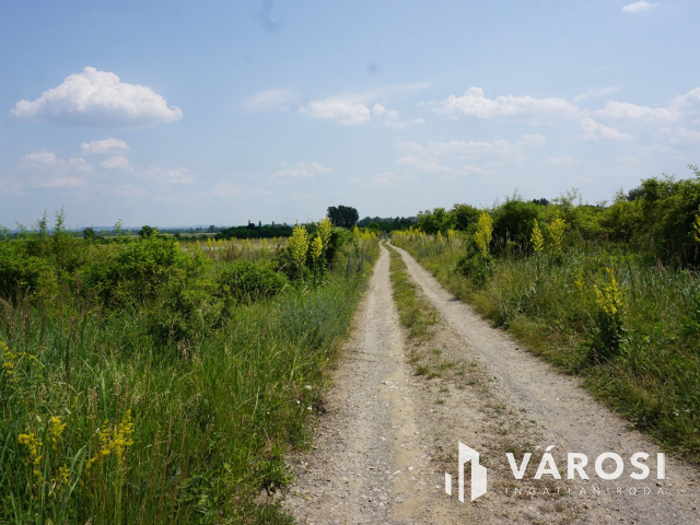Új parcellázású, 2000nm-es telek Pomázon!