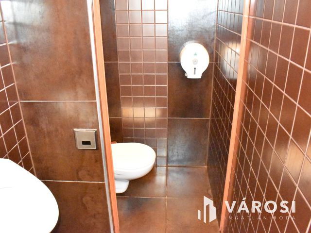 Ennél jobb helyen nem tud vállalkozni Békéscsabán!