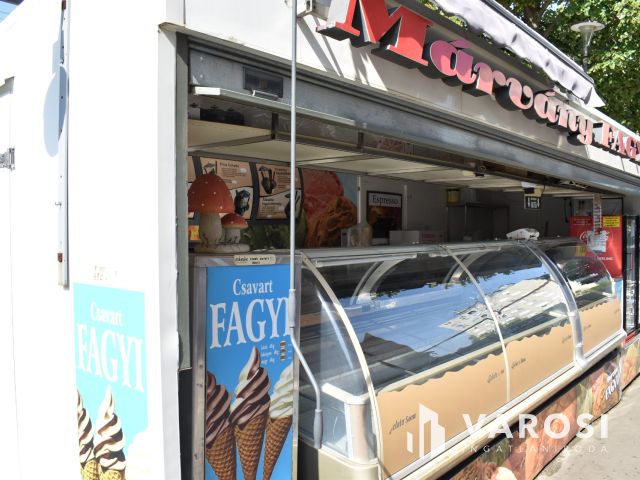 Egy jövedelmező vállalkozás egy lakás áráért!