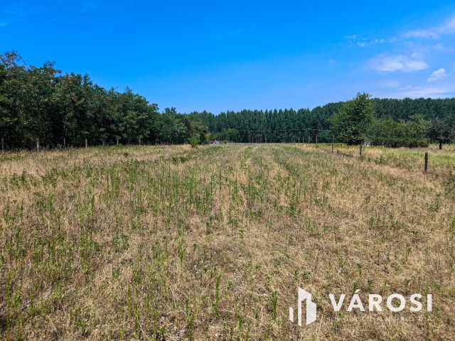 5800 m2-es kertes mezőgazdasági terület Csemőn!