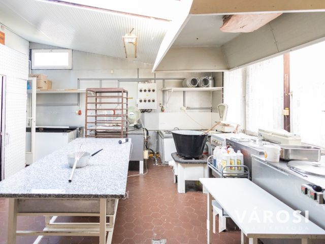 Több lehetőség egy ingatlanban a Várfürdő közelében