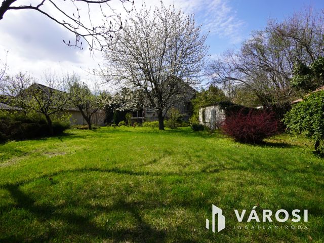 A Velencei-tó közvetlen közelében, Kápolnásnyéken!