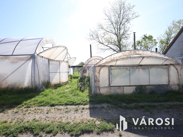 Tanya gazdálkodásra alkalmas területtel