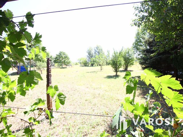 Balástyai tanyák,  ezen a vidéken lakott Rózsa Sándor.