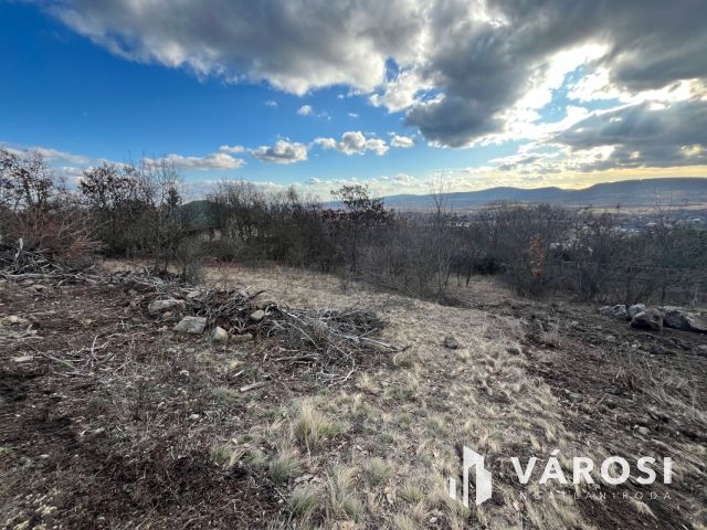 Szentendrei panoráma!